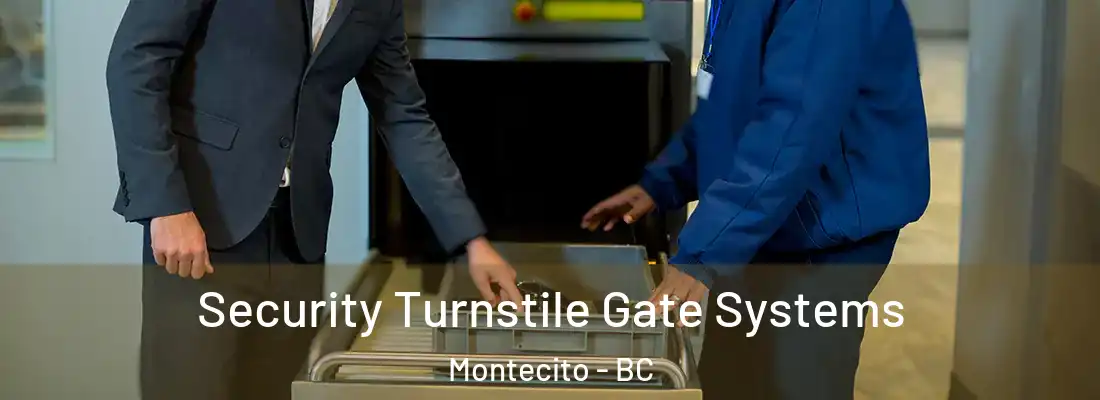  Security Turnstile Gate Systems Montecito - BC