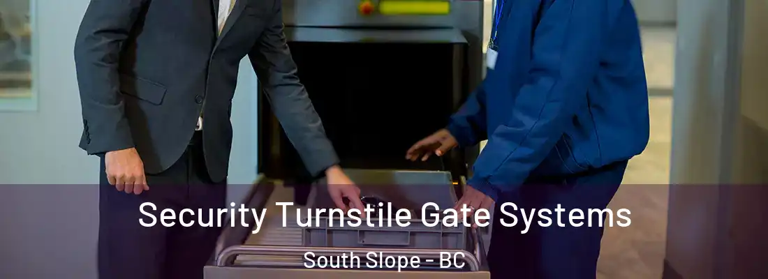  Security Turnstile Gate Systems South Slope - BC