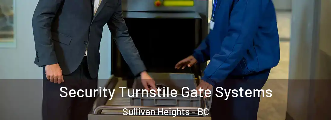  Security Turnstile Gate Systems Sullivan Heights - BC
